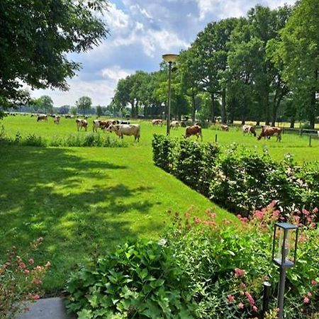 Wezep Het Broekeroord B&B 외부 사진