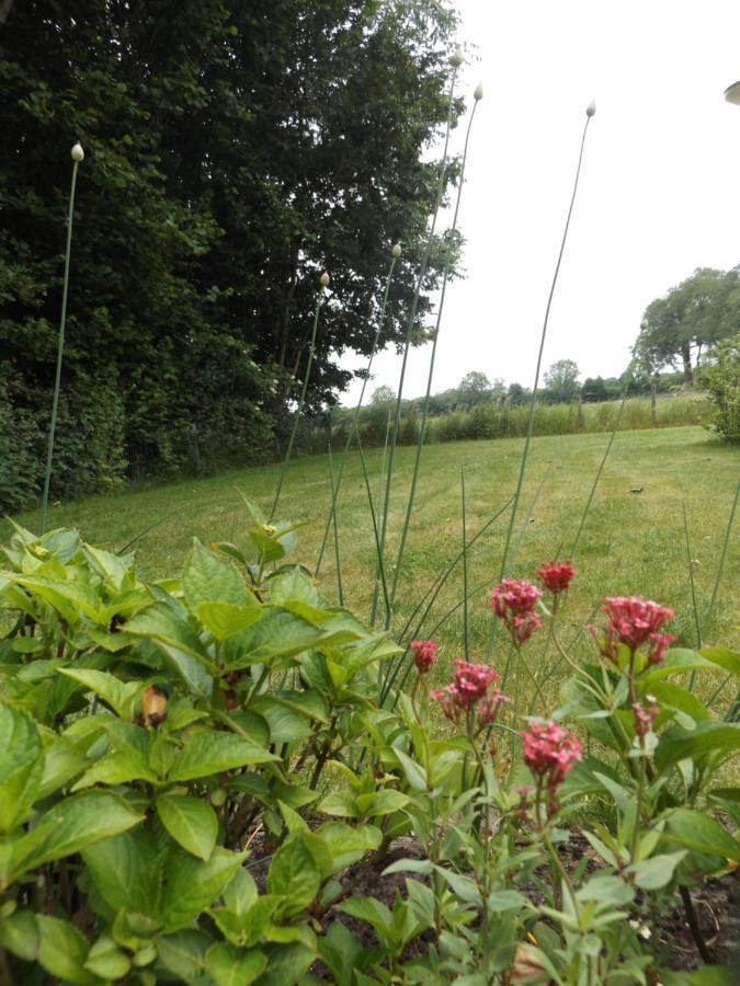 Wezep Het Broekeroord B&B 외부 사진