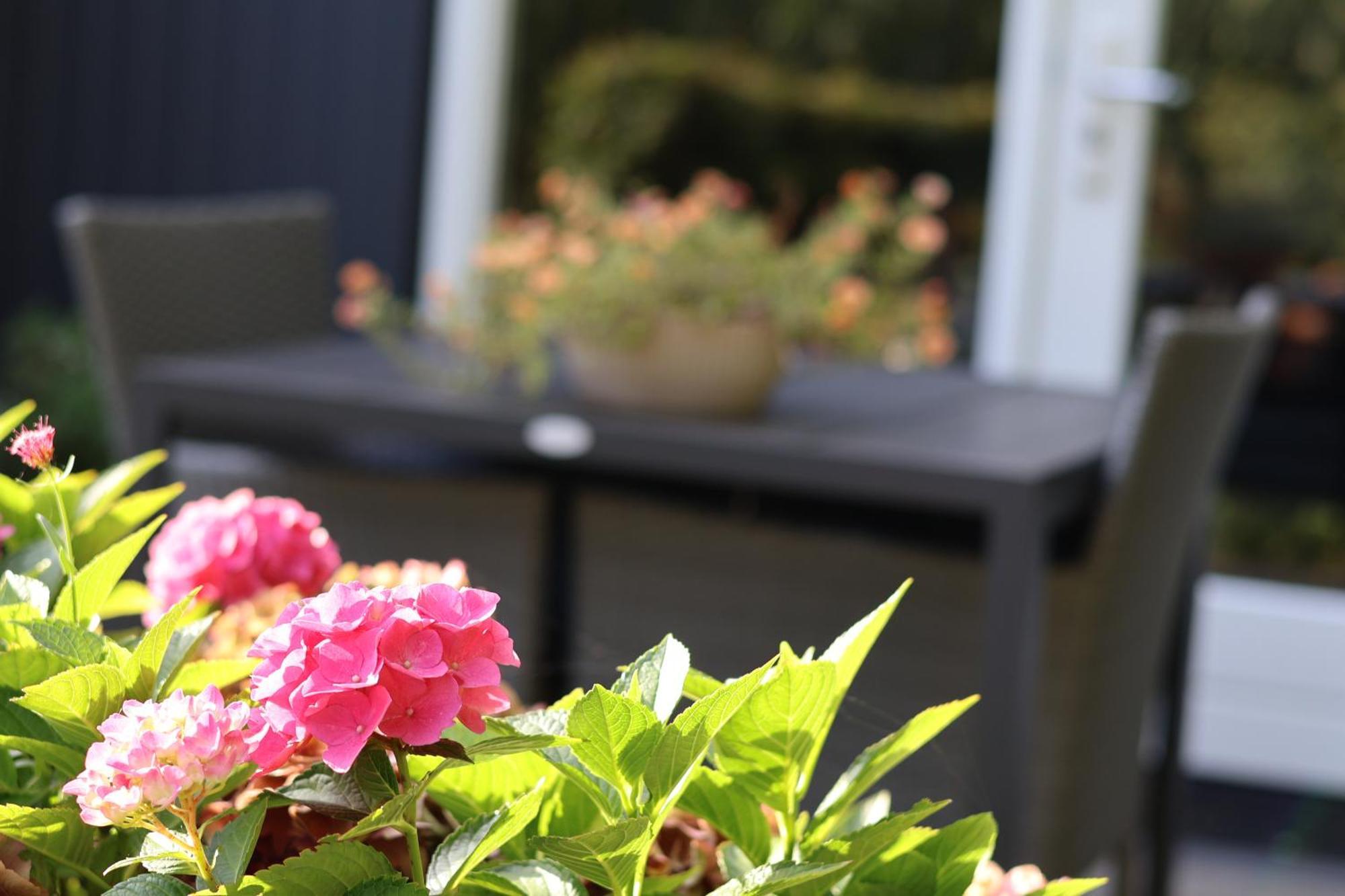 Wezep Het Broekeroord B&B 외부 사진